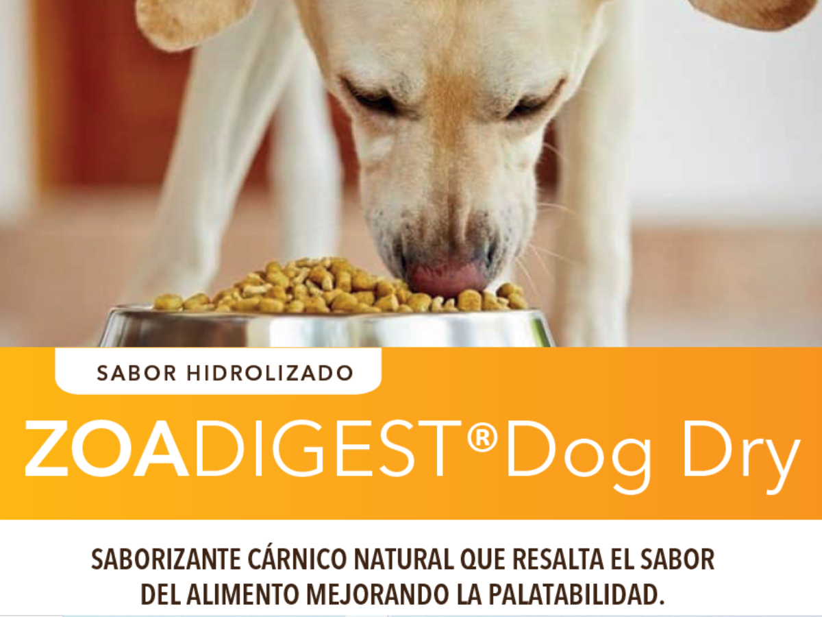 Zoadigest® Dog Dry