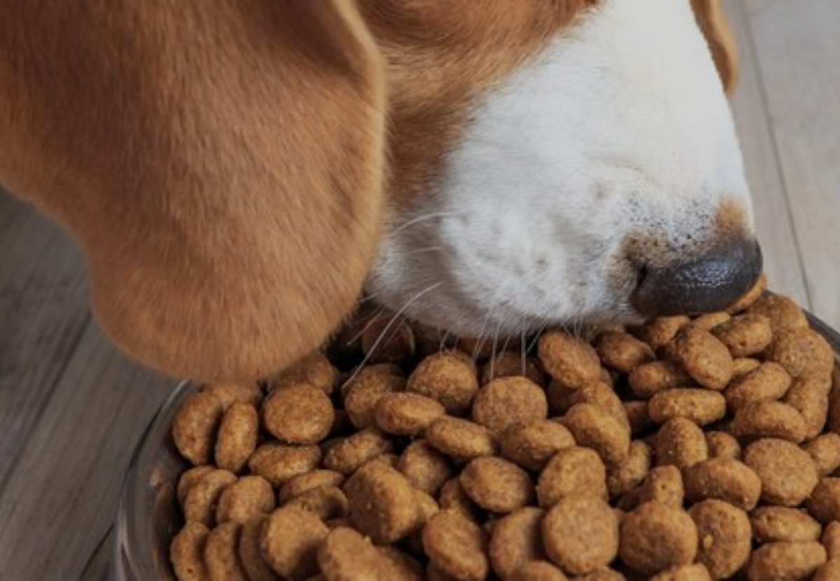 Proteger el alimento para mascotas de la oxidación de manera natural