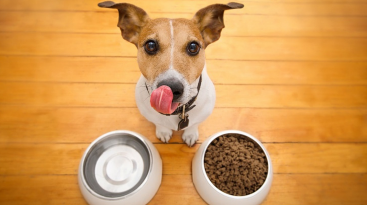 Proteger el alimento para mascotas de la oxidación de manera natural