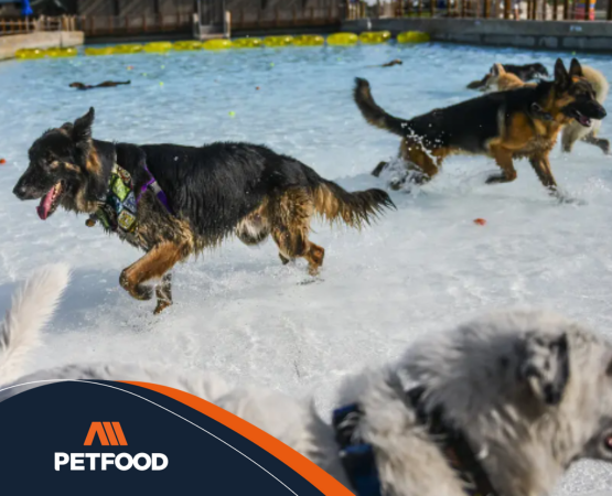 se permiten perros en los parques estatales de colorado