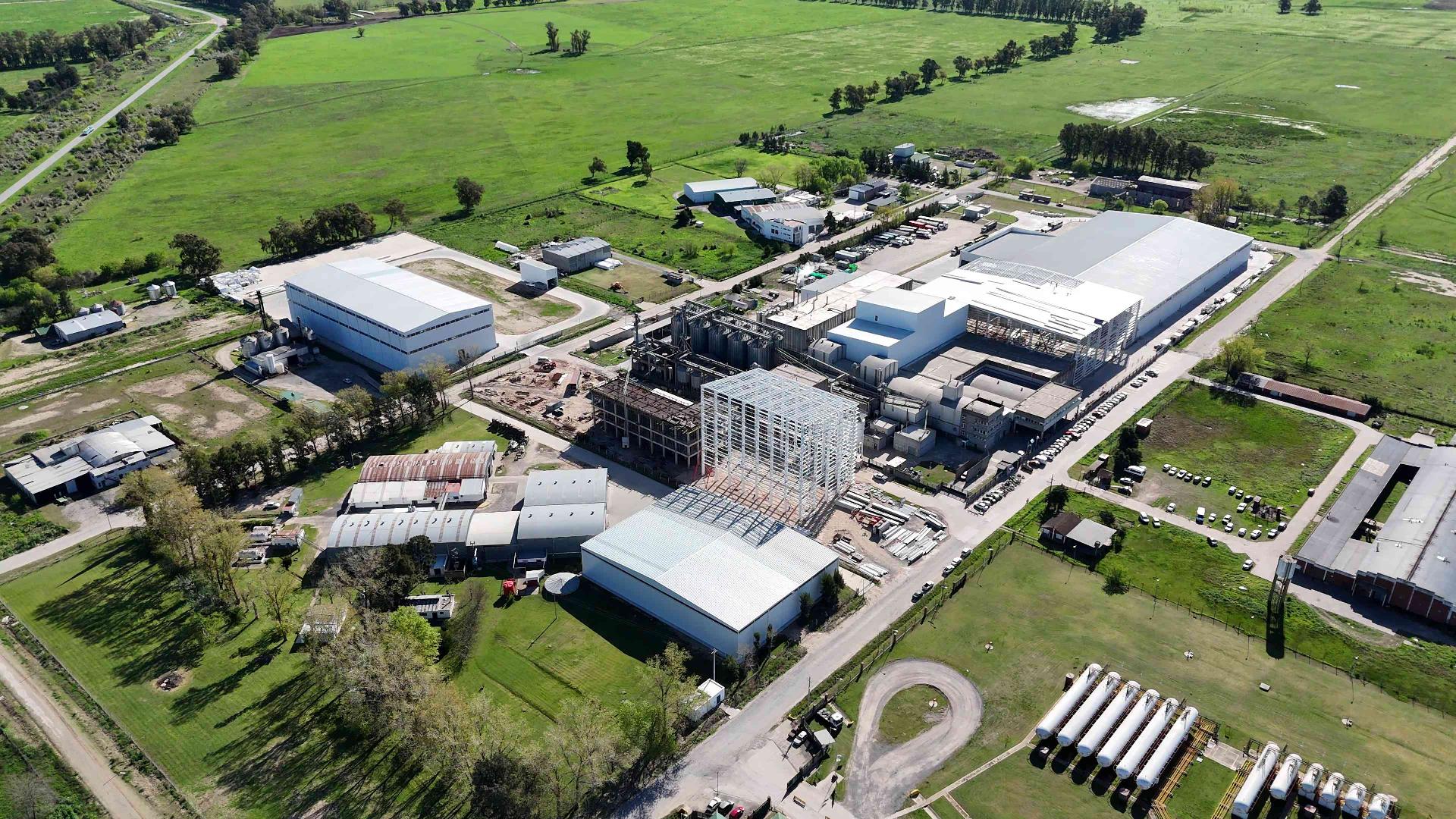 Proyecciones 2025: El impacto del crecimiento del mercado pet food en LATAM